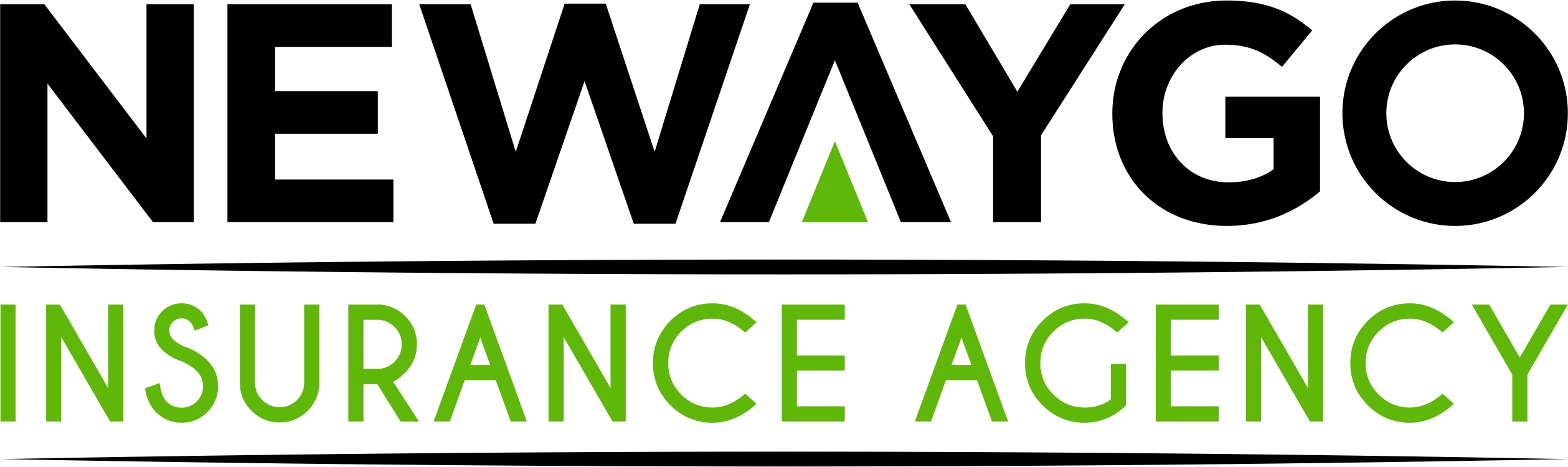 Newaygo Insurance Agency Logo Transparent Background