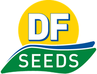 DF Seeds Resized 200x