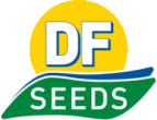 DF Seedsscaled